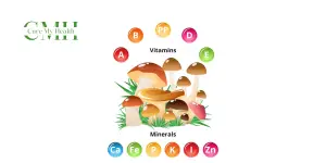 7 Significant Nutrients And Their Functions