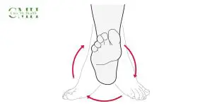 Ankle rotations