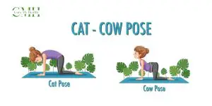 Cat-cow stretch